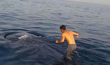 ببینید | نهنگ سواری یک پسر جنوبی در خلیج فارس