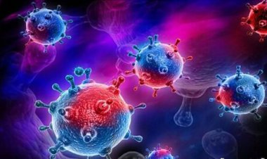 کشف سویه بسیار قوی از ویروس کرونا در استرالیا