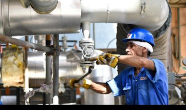 ۳۰ هزار فرصت شغلی در استان بوشهر ایجاد می‌شود