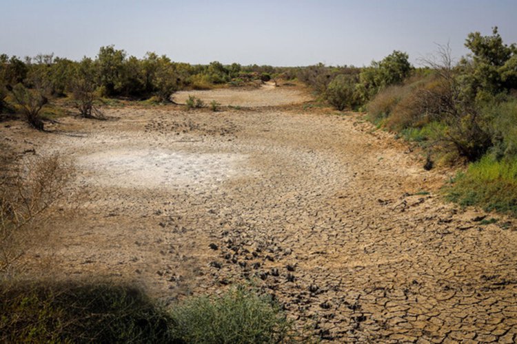 هشدار خشکی کامل تالاب "میانگران" در تابستان امسال