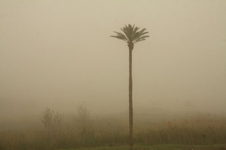 هواشناسی: گرد و غبار دوباره بوشهر را فرا می‌گیرد