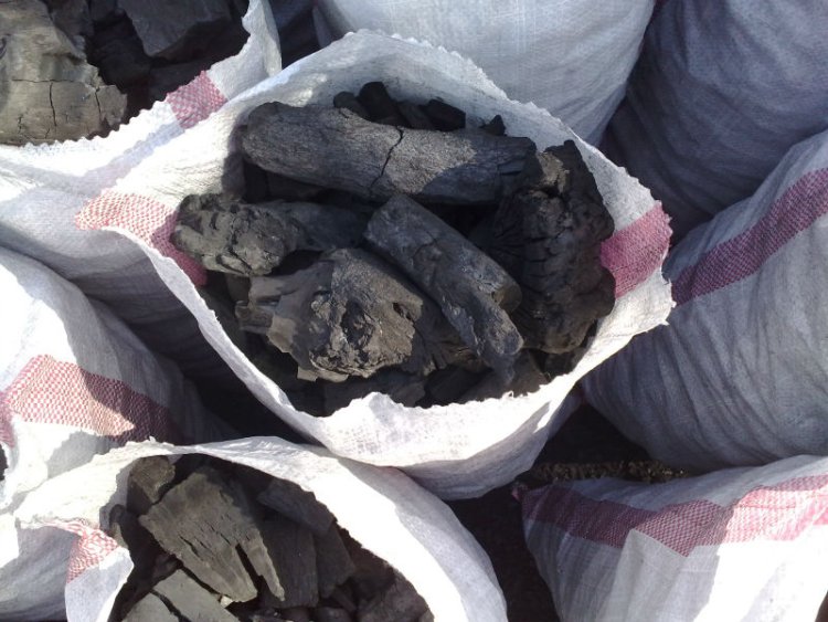 جریمه سنگین قاچاقچی ذغال  در  کهگیلویه