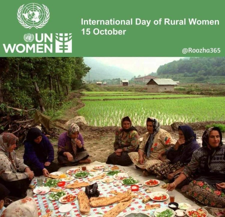انتشار پوستر «بانوان روستایی گیلان» در صحن سازمان ملل