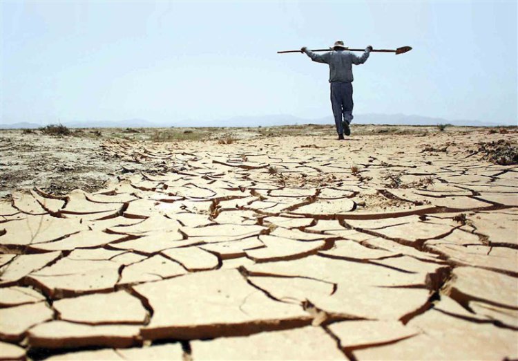 خشکسالی ۸۱ هزار هکتار اراضی دیم استان کهگیلویه و بویراحمد را نابود کرد