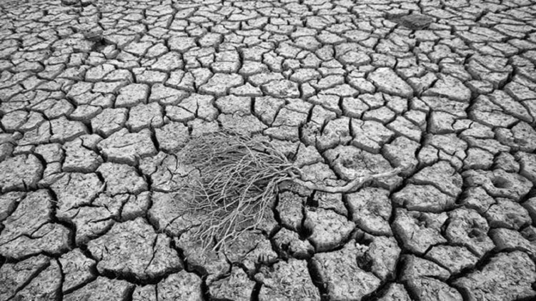 خسارت ۸۰ درصدی به اراضی دیم تحفه خشکسالی بی سابقه در خوزستان