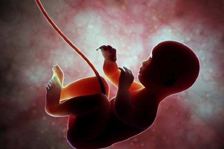 غربالگری جنین در ایران ممنوع شده است؟