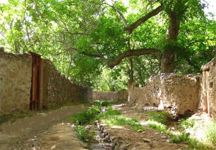 دهکده باغ‌ها؛ طرحی جذاب برای شیراز