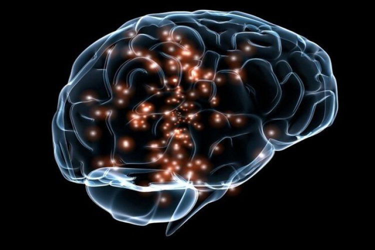منشأ سیستم ایمنی مغز کجاست؟
