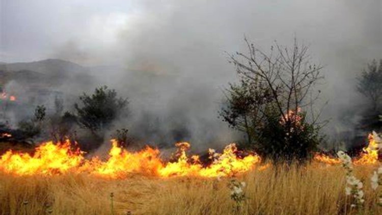 کشاورزان فارس خطر آتش سوزی را جدی بگیرند