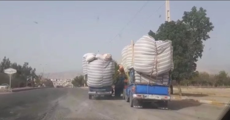 تاراج اندوخته‌های دامی خوزستان