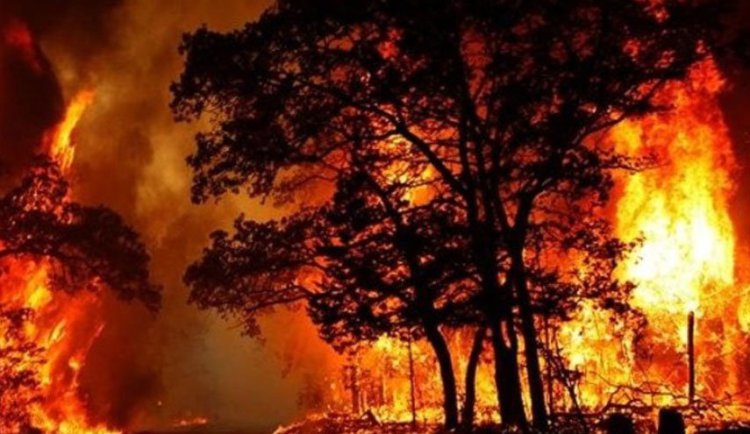 خطر آتش سوزی در کمین جنگل‌های زاگرس