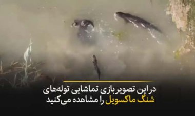 کشف بی‌سابقه در هورالعظیم