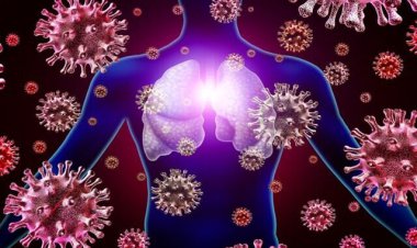 کشف سویه‌ هایی از کرونا که دستگاه ایمنی بدن را فریب می‌ دهند