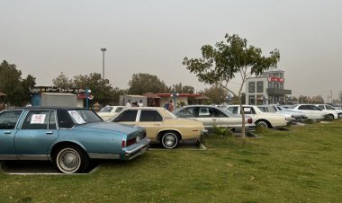 برگزاری تور خودروهای تاریخی و سافاری در بوشهر