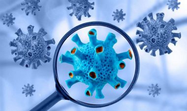 فوتی های روزانه کرونا تک رقمی شد