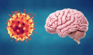 محققان: ابتلای شدید به کرونا مغز را ۲۰ سال پیر میکند