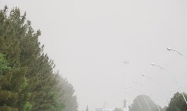 استمرار آلودگی هوا در شیراز؛ گروه‌های حساس از منزل خارج نشوند