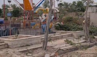 فیلم هرس درختان به سبک شهرداری بوشهر