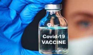 واکسن گیاهی کرونا تولید شد