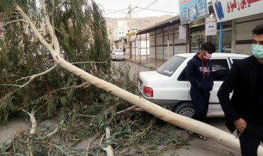 ببینید| وزش تندباد، قطع برق و خسارت به تاسیسات