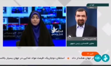 ببینید | سوتی محسن رضایی در گفتگوی زنده
