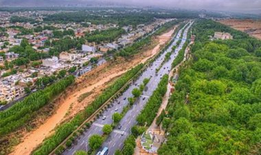 ادامه باغ خواری در قصردشت شیراز