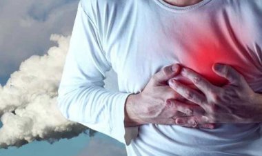 آلودگی هوا چه بر سر قلب ما می‌آورد؟