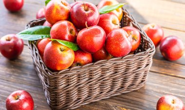 میوه کم طرفدار اما پرخاصیت