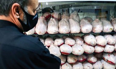 مردم به شایعات توجه نکنند؛ قیمت مرغ، تخم‌مرغ و شیر تغییر نکرده