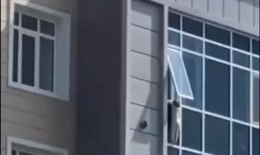 ببینید | لحظه دلهرهآور نجات  بچه ۳ ساله از پنجره طبقه هشتم