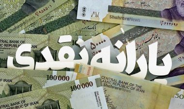 قول وزیر رفاه به کسانی که یارانه نگرفتند