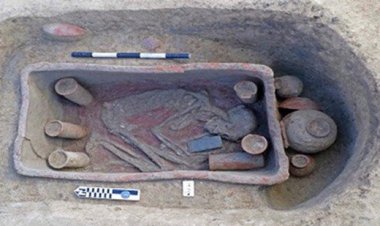 طرح‌تان پشتوانه علمی ندارد انصراف دهید!/ میراث علیه مجلس