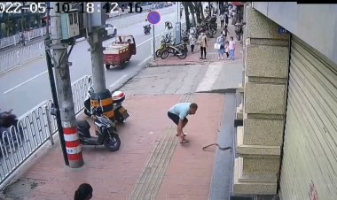 تماشا کنید | خونسردی یک مرد هنگام گرفتن مار