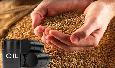 نفت می دهیم غلات می گیریم