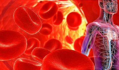 افزایش سکته های مغزی و بیماری های قلبی با فشار خون بالا