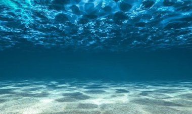 اقیانوسها در سال ۲۰۲۱ داغتر و اسیدیتر از همیشه شدند