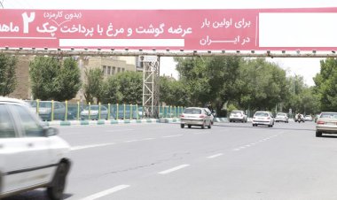 ماجرای فروش مرغ قسطی با دسته چک!