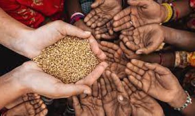 هشدار اکونومیست: فاجعه غذایی در راه است