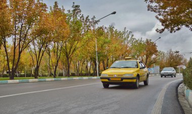 در انتظار «زرد رنگ»‌های کمیاب!