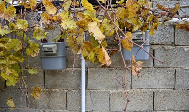 جدیدترین تصمیم دلهره‌آور دولت درباره یارانه‌ها