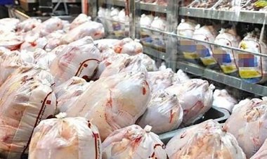 قیمت مرغ در بازار بوشهر بر پایه عرضه و تقاضاست