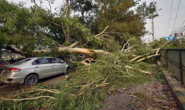 ۳۳ کشته بر اثر طوفان در هند