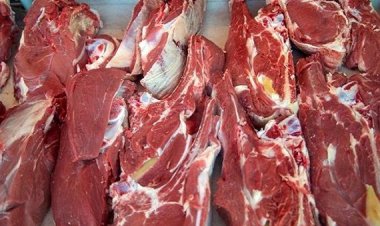 ارزانی گوشت در راه است؟