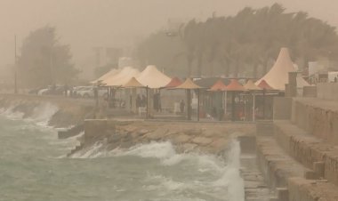 هشدار هواشناسی بوشهر درباره گردوخاک و تلاطم خلیج فارس