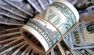 ارز ۴۲۰۰ رسما از گمرک خارج شد