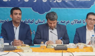 هنرمندان کهگیلویه و بویراحمد در دیدار با رئیس سازمان سینمایی چه گفتند؟