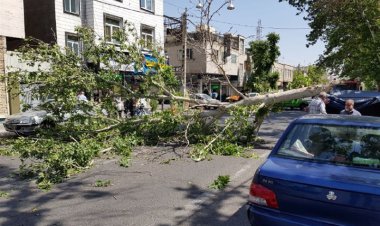 وزش شدید باد در شیراز یک کشته و ۲ زخمی برجای گذاشت