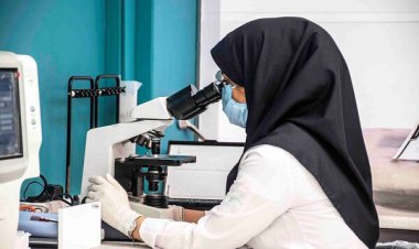 بررسی ۵ نمونه مشکوک به آبله میمون در ایران