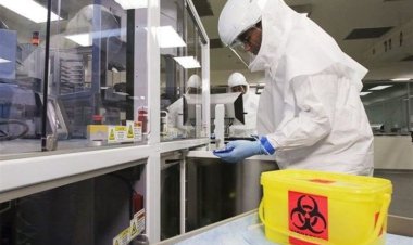 روسیه: آبله میمون از ۴ آزمایشگاه بیولوژیکی آمریکا در نیجریه پخش شده است