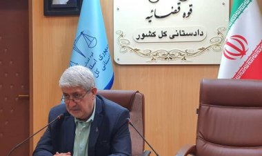 معاون دادستان: با نابودکنندگان جوجه‌های یک روزه برخورد قضایی می‌شود